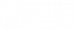 Directors Training Group